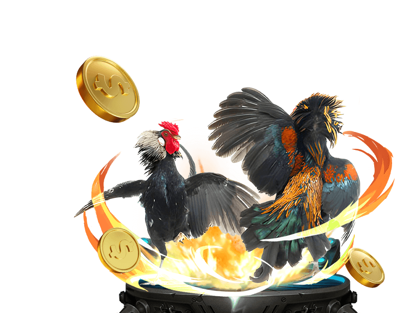 Cá cược Thể thao tại bi88